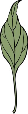 johnny automatic ivy leaf 4