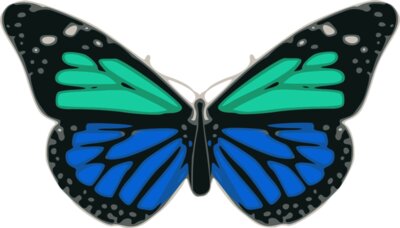 Butterfly 02 Turquoise Blue  2 