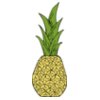 johnny automatic pineapple 1