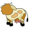 cute cow  3 