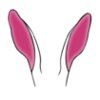 rabbit ears