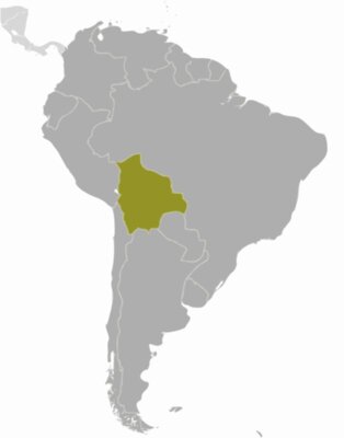 Bolivia location  2 