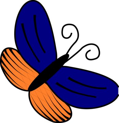 papillon bleu orange