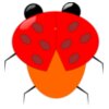 ladybeetle