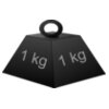 1 kg weight