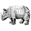 sclopit renaissance rhino
