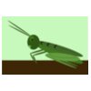 me4tanik grasshopper