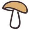 mushroom  3 