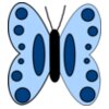 Blue butterfly  3 